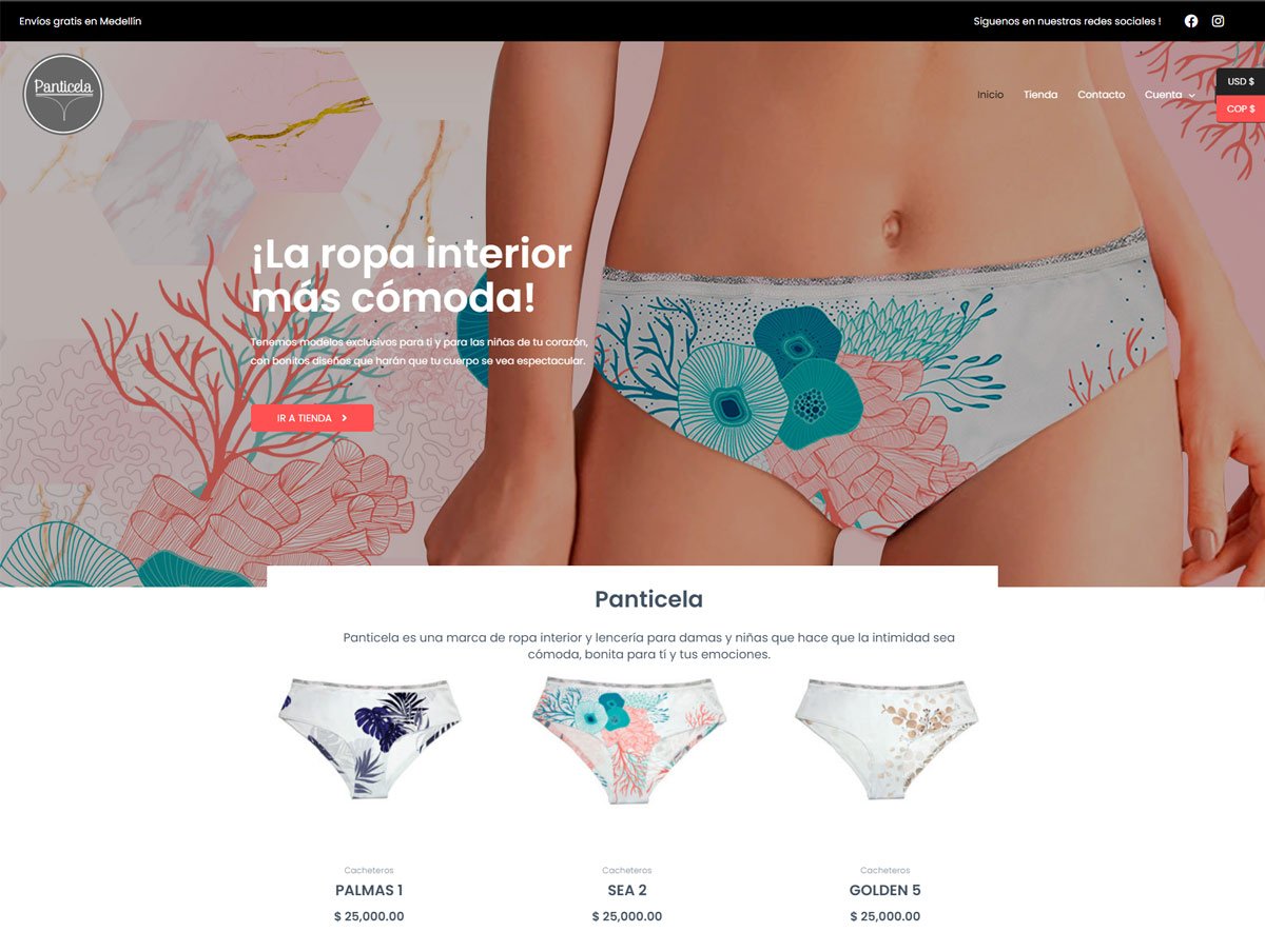 Diseño de Páginas web en Venezuela - Agencia web en Venezuela