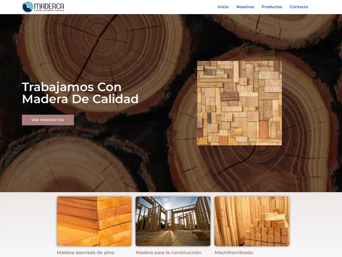 Diseño de Páginas web en Venezuela - Agencia web en Venezuela
